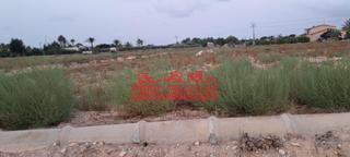 Finca rústica a La Algoda - Matola - Llano de San José