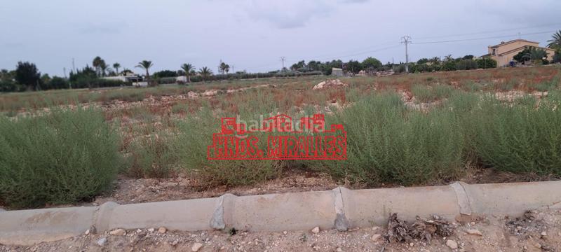 Foto dc739272-7d69-4cf3-bff3-79115f12a2ef. Fondo rustico in La Algoda - Matola - Llano de San José Elche / Elx