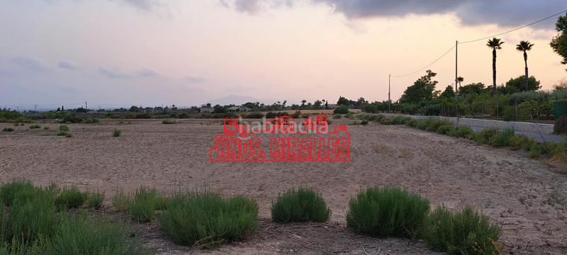 Foto fe0c2f37-88e1-4b30-bb09-f1cdc4e1df23. Fondo rustico in La Algoda - Matola - Llano de San José Elche / Elx