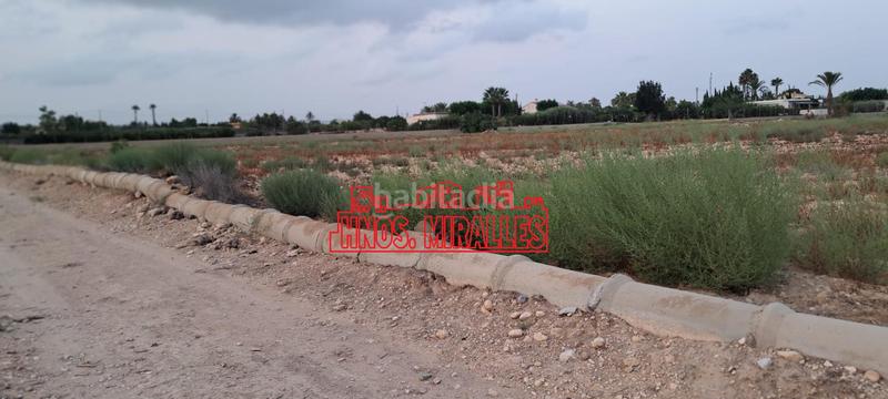 Foto cd4a0856-de26-4495-aa6c-3d2d0f1fde83. Finca rústica a La Algoda - Matola - Llano de San José Elche / Elx