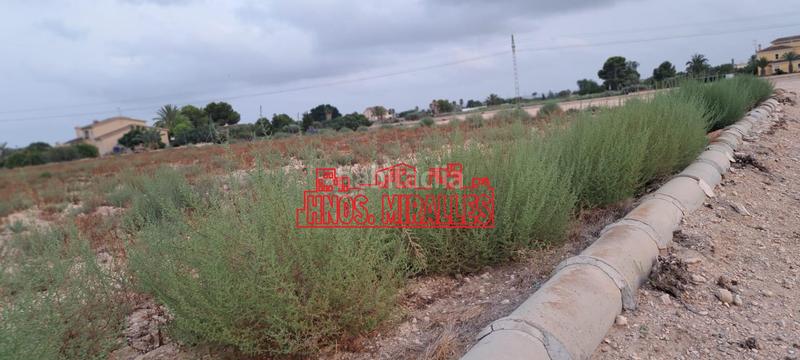 Foto cf376328-71dc-44b8-8f11-40d1f66d9825. Finca rústica a La Algoda - Matola - Llano de San José Elche / Elx