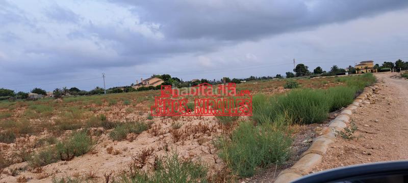 Foto dd7ed960-de5f-4b22-87fb-444351fb5cd9. Finca rústica a La Algoda - Matola - Llano de San José Elche / Elx