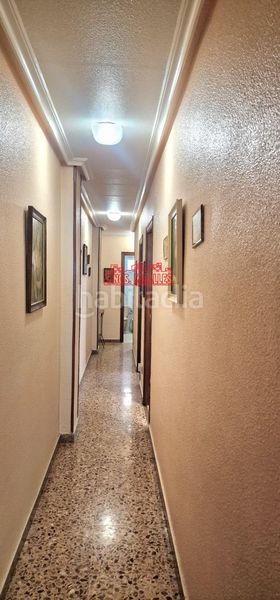 Foto d3ef7210-f896-411c-a25b-5b4ce2a2f6e8. Pis a El Toscar Elche / Elx