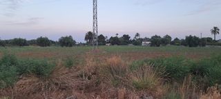 Finca rústica a La Algoda - Matola - Llano de San José