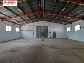 Nau industrial a Crevillente. Se vende nave con parcela de 8000m en zona rustica de crevillent