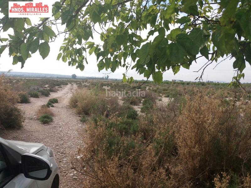 Foto 1a2f8c7d-7536-4b4f-96e3-389153f6dc44. Mas dans Algorós - El Derramador Elche / Elx