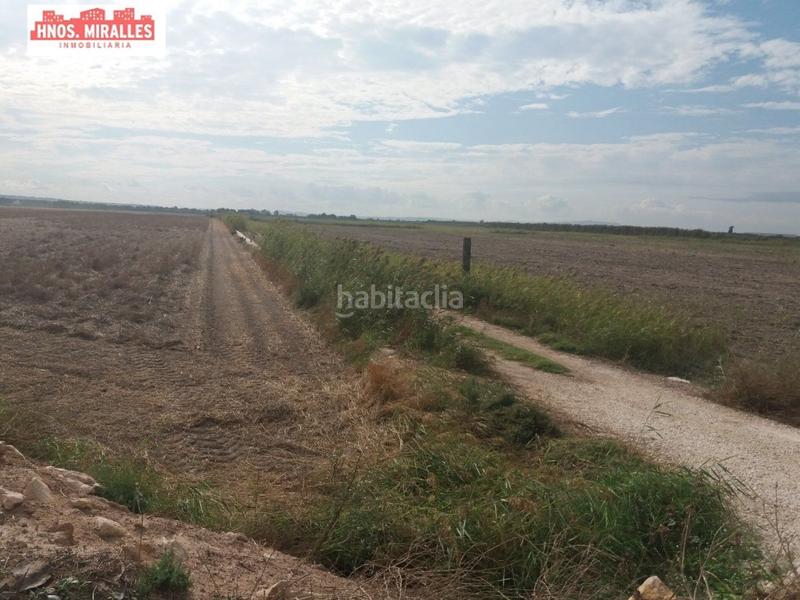 Foto 4a648a1d-d905-45d3-87e4-b74f1c73f7bb. Mas dans Algorós - El Derramador Elche / Elx