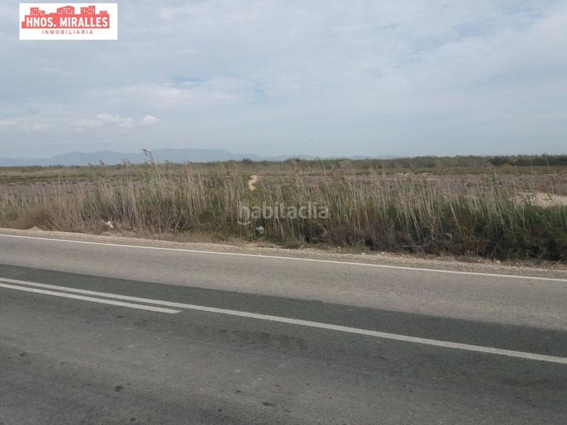 Foto e2fb3078-b752-41ab-b610-859f8b74f1a0. Mas dans Algorós - El Derramador Elche / Elx