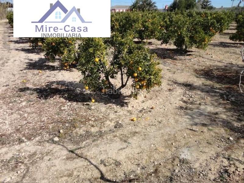 Foto 48ff92a8-e6a0-447d-afc1-052eda69ee95. Chalet mit parking pool in Valverde Elche / Elx