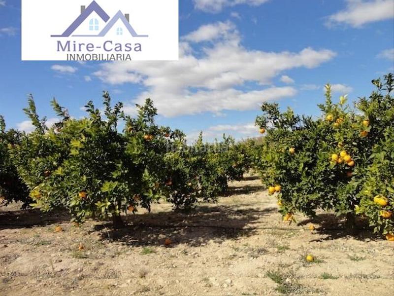 Foto 505f3fc9-bc17-459a-b1b9-385e342520e1. Chalet mit parking pool in Valverde Elche / Elx