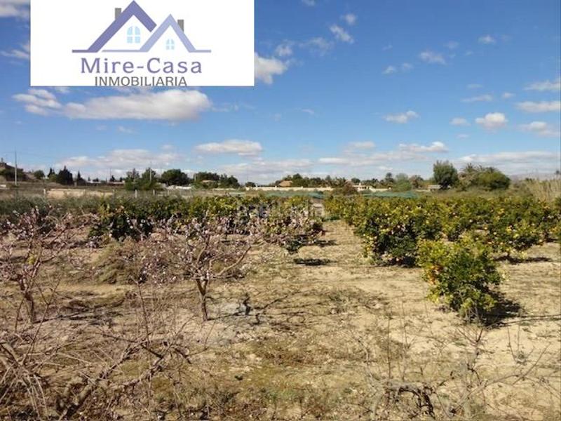 Foto d99ef513-08bc-4802-b55d-6b9c26a9a525. Chalet mit parking pool in Valverde Elche / Elx