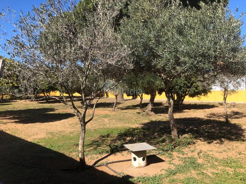 Foto a92d1317-267e-4cca-a015-cca18f151d93. Chalet  en pinar de los franceses! en Los Franceses - La Vega Chiclana de la Frontera