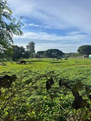 Terreny residencial a Los Franceses - La Vega