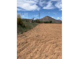 Terreny residencial a Albolote. Parcela rustica en albolote con posibilidad de segregar en dos