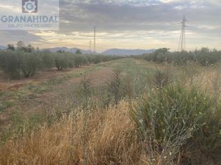 Terreny residencial a Albolote. Venta de parcela rustica, en albolote