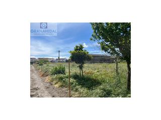 Casa  N/a. Vivienda con terreno en pedro ruiz