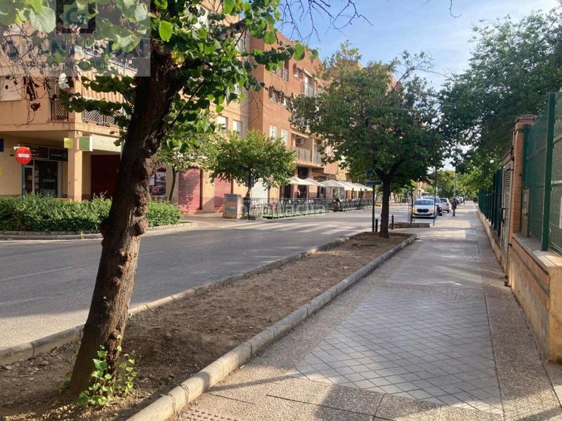 Foto 4af4b885-9278-4263-bc52-1cf6b1934140. Geschäftsraum in Castaño - Mirasierra Granada