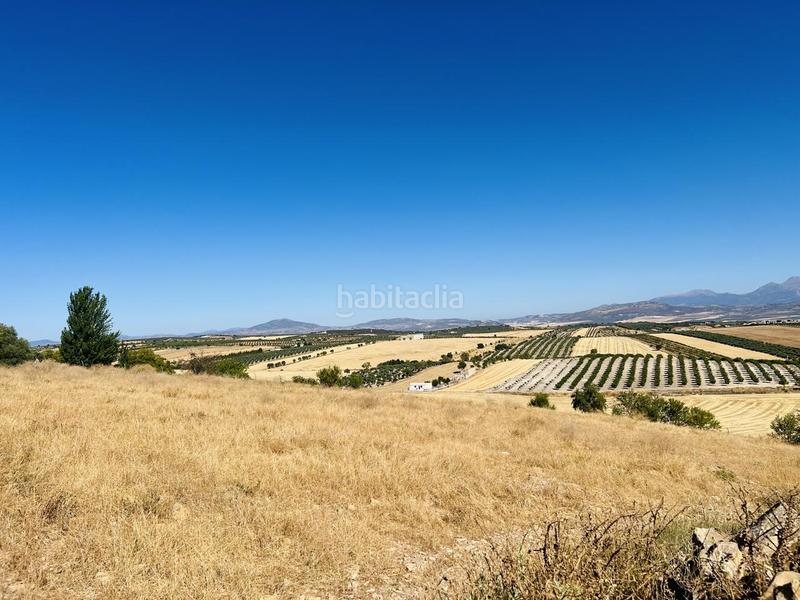 Foto e4f8b54f-96f3-450f-aacc-b91fc3049a2d. Masia amb aparcament a Torre - Cardela