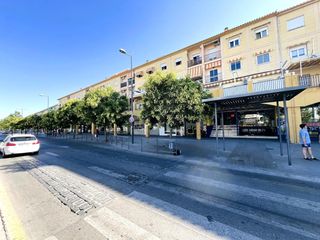 Alquiler Piso  Arzobispo pedro de castro. Estudiantes!! piso de 4 dormitorios en av. juan pablo ii
