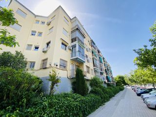 Pis a Fray Juan Sánchez Cotán