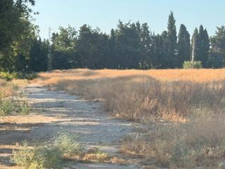 Lloguer Finca rústica a Churriana - El Pizarrillo - La Noria - Guadalsol. Campa para vehículos junto al aeropuerto