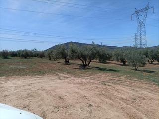 Finca rústica  Polígono la zanja. Suelo rústico en albolote!!