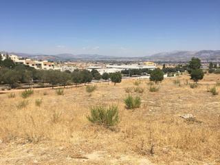 Terrain résidentiel  Paseo de pedro verde. Oportunidad de inversión en las gabias!!