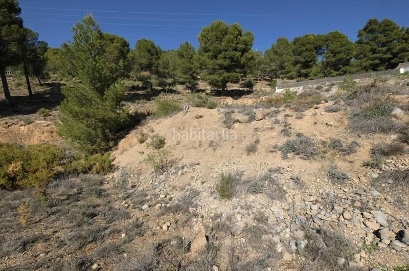 Foto 177a98a0-2467-4efe-95c4-6a374a09d09f. Wohngrundstück in Padul