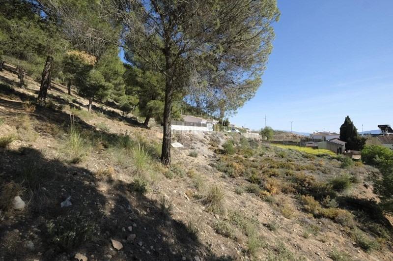 Foto 21c2df00-bddc-4176-b73b-9702dc4034d2. Wohngrundstück in Padul