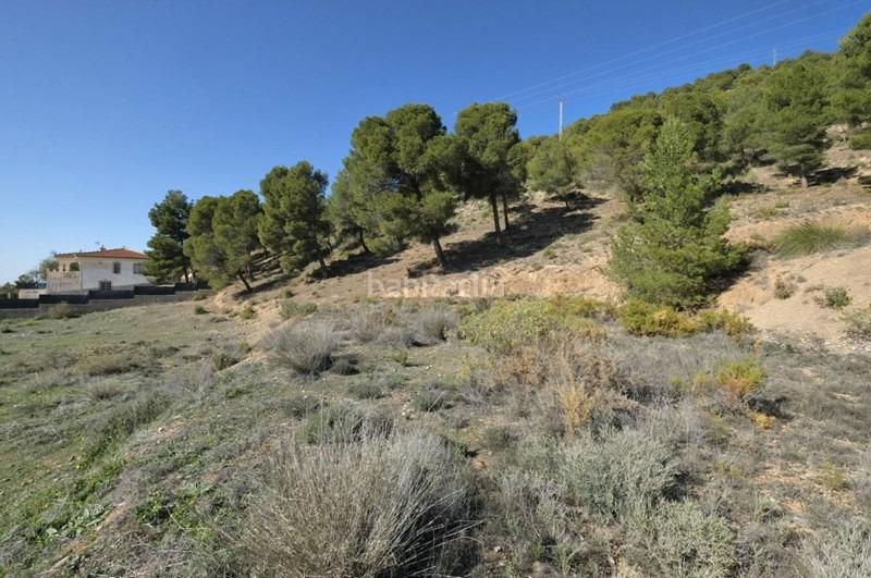 Foto 4edd724d-f3a2-46fb-9b2b-c9123baac6a9. Wohngrundstück in Padul