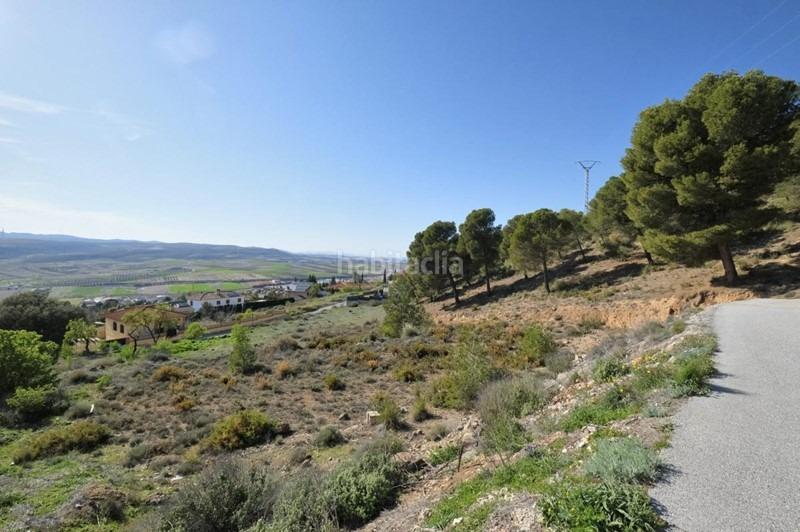 Foto caa1d173-9f0f-4634-a576-a2bbdf84cd86. Wohngrundstück in Padul