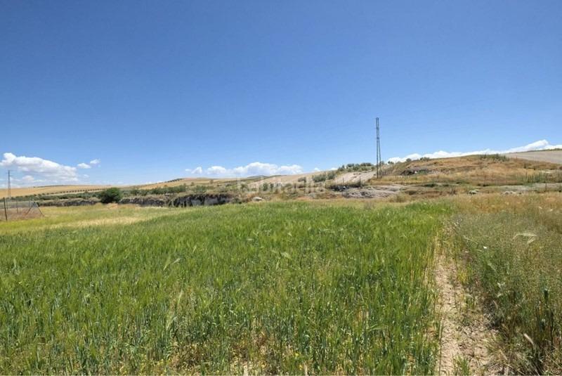 Foto a7fdf528-62cb-458f-8ab5-c7d15ab143d8. Terreno residencial oportunidad de inversión !! en Chimeneas