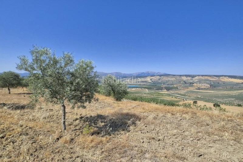 Foto 1340ccf1-b12c-45bd-a6e3-c00a5821a154. Bauernhof in Arenas del Rey