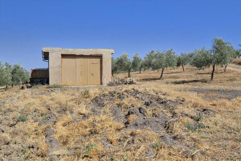 Foto 19230424-9d8e-4f33-921a-6308f8cfc48c. Bauernhof in Arenas del Rey