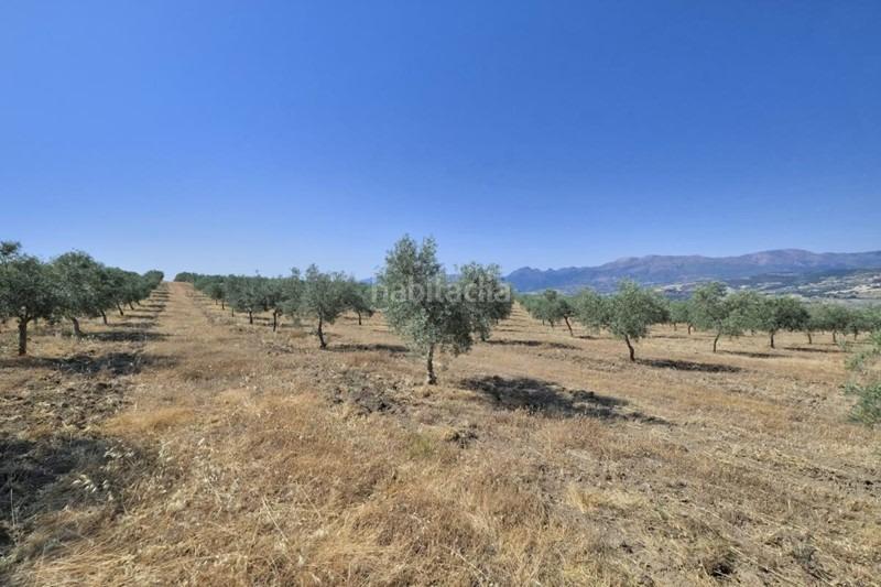 Foto 19f3dce9-0102-41d8-b7b3-f10ead11a8f1. Bauernhof in Arenas del Rey