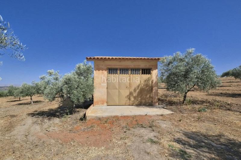 Foto 1d8a20fa-2709-4073-a1d6-ead3a6ed9b59. Bauernhof in Arenas del Rey