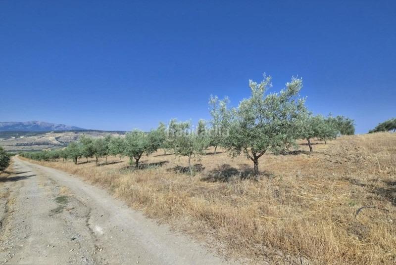 Foto 1d9e4fe9-455f-4af1-8456-542ff0169353. Bauernhof in Arenas del Rey