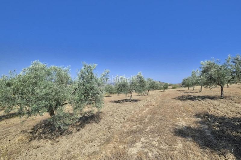 Foto 1e1995b4-c624-4643-848f-6fea188f960e. Bauernhof in Arenas del Rey