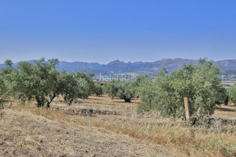 Foto 271dae3d-4cfd-4dea-b343-e5790f1083c9. Bauernhof in Arenas del Rey