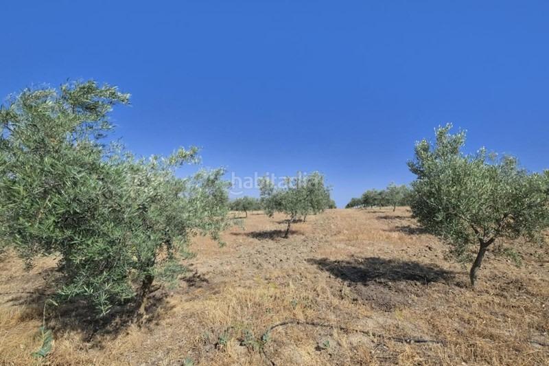 Foto 3fa36587-210e-4079-a8ce-38fd73fd324c. Bauernhof in Arenas del Rey