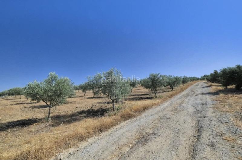 Foto 49a3e76c-49a2-4579-a3cc-3a315a7172ce. Bauernhof in Arenas del Rey