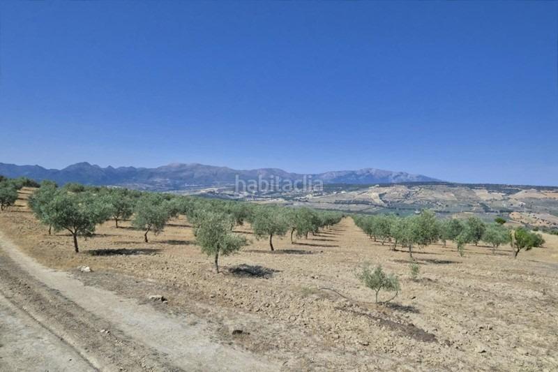 Foto 54774c5b-109e-4748-aec8-5a172c38541f. Bauernhof in Arenas del Rey