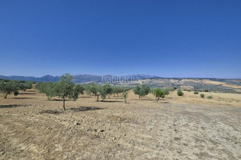 Foto 576fbcd6-79f0-4014-8932-a6a1027c3e62. Bauernhof in Arenas del Rey