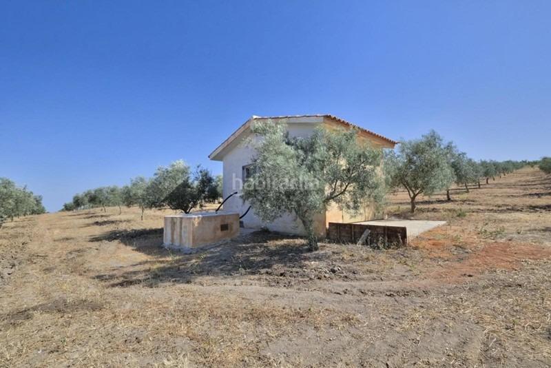 Foto 59b00661-e190-4470-86e7-6246070bedba. Bauernhof in Arenas del Rey