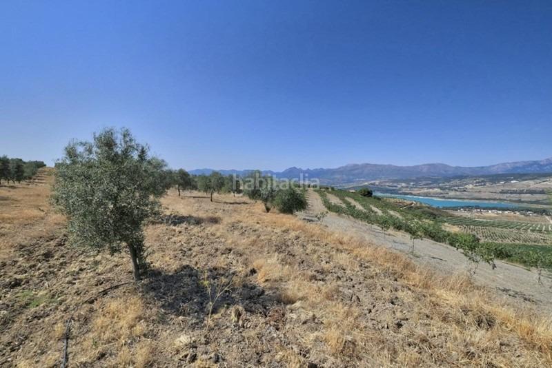 Foto 5bdbb0de-ae01-43b9-974f-681bfc642f92. Bauernhof in Arenas del Rey