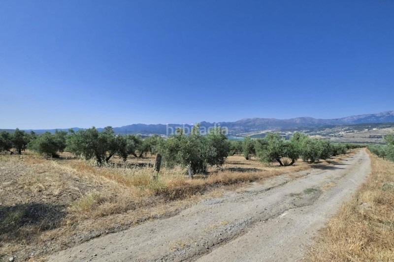 Foto 7794e452-1bd3-4ad8-b20c-141efb6f6134. Bauernhof in Arenas del Rey