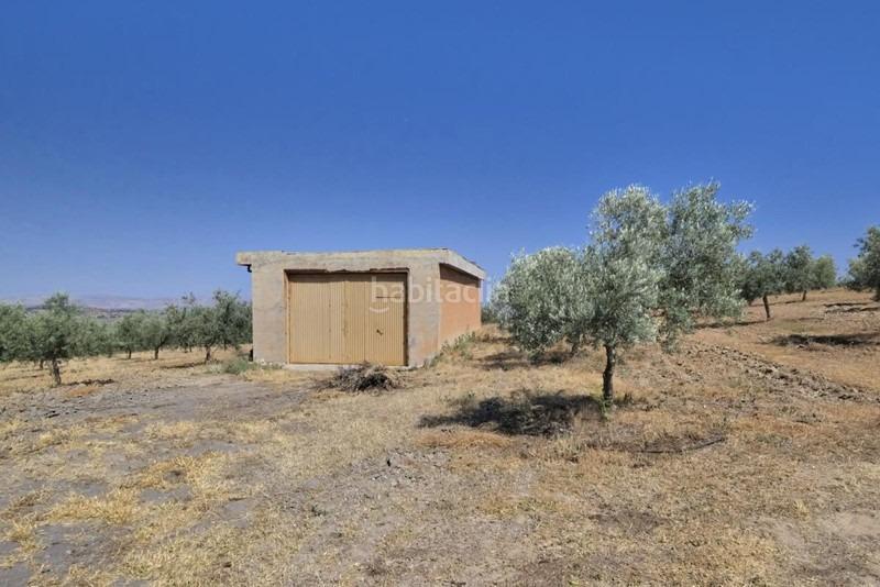 Foto 79e35f50-8ba4-4169-89b9-a181f9229b80. Bauernhof in Arenas del Rey