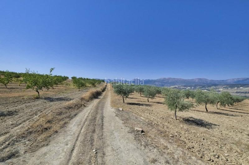 Foto 7be715e6-0f5e-4471-9548-20db90af8333. Bauernhof in Arenas del Rey