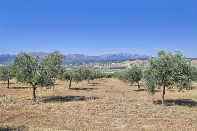 Foto 9458ee5b-7179-4b67-a427-50b06933a042. Bauernhof in Arenas del Rey