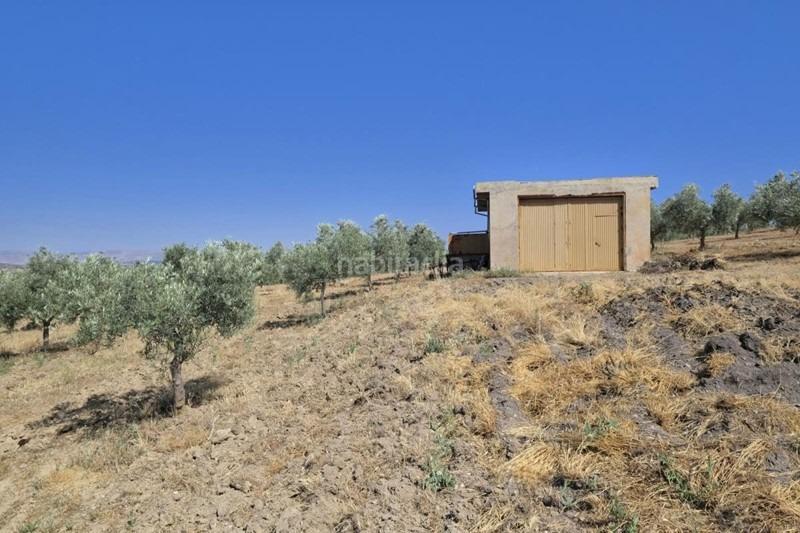 Foto 95abee49-d778-491a-9090-8d6e38a346ce. Bauernhof in Arenas del Rey